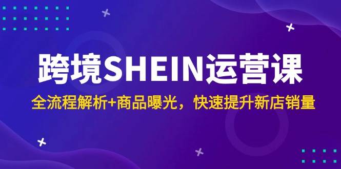 （14832期）跨境SHEIN运营课，全流程解析+商品曝光，快速提升新店销量-优优云网创