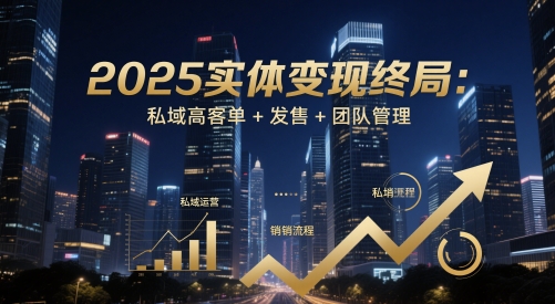 2025实体变现终局：私域高客单+发售+团队管理-优优云网创