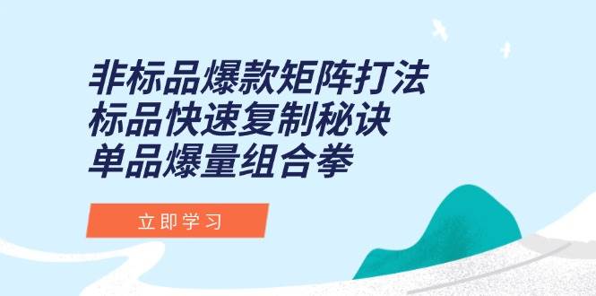 （15068期）非标品爆款矩阵打法，标品快速复制秘诀，单品爆量组合拳-优优云网创