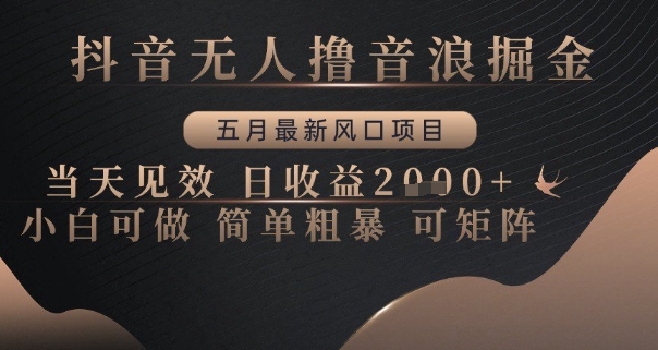 抖音无人撸音浪掘金，五月最新风口项目，当天见效，日收益多张，小白可做简单粗暴可矩阵【揭秘】-优优云网创