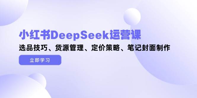 （14748期）小红书DeepSeek运营课，选品技巧、货源管理、定价策略、笔记封面制作-优优云网创
