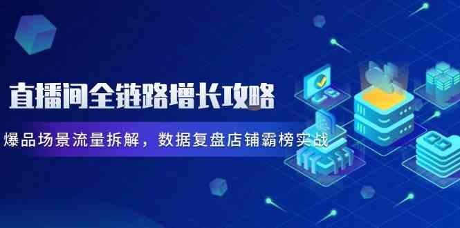 直播间全链路增长攻略，爆品场景流量拆解，数据复盘店铺霸榜实战-优优云网创