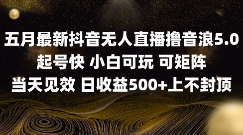 2025五月最新无人直播撸音浪单日产出5张+实操教程【揭秘】-优优云网创